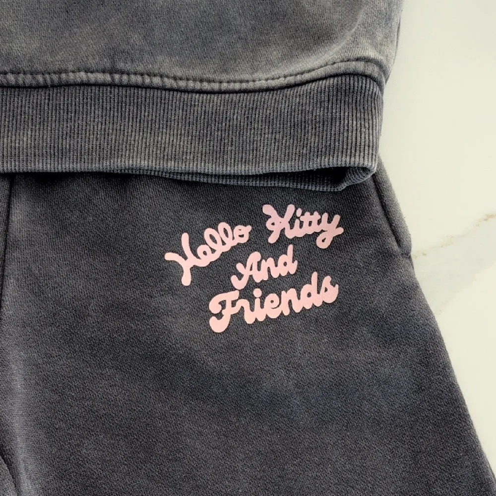 Hello Kitty & Friends Grey Hoodie Set with Pink Accents